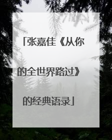 张嘉佳《从你的全世界路过》的经典语录