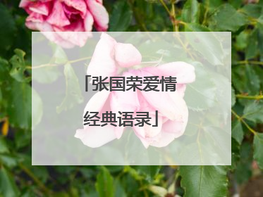 张国荣爱情经典语录