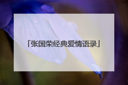 张国荣经典爱情语录