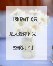 张敬轩《只是太爱你》完整歌词?