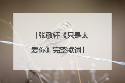 张敬轩《只是太爱你》完整歌词