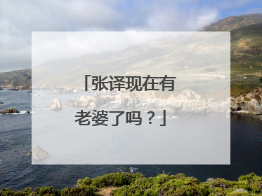 张译现在有老婆了吗？