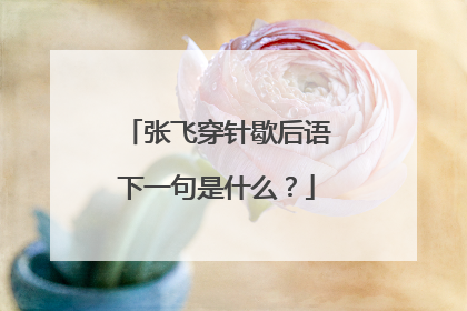 张飞穿针歇后语下一句是什么?