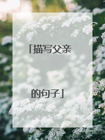 描写父亲 的句子