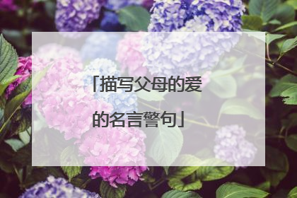 描写父母的爱的名言警句