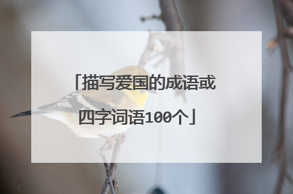 描写爱国的成语或四字词语100个