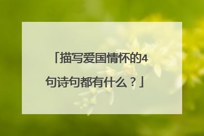 描写爱国情怀的4句诗句都有什么?