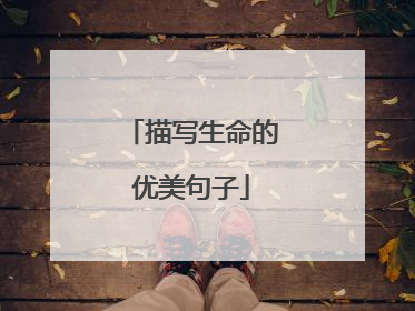 描写生命的优美句子