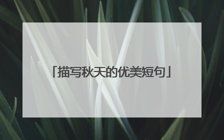 描写秋天的优美短句