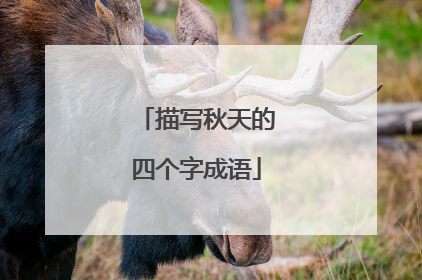描写秋天的四个字成语