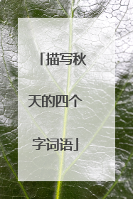描写秋天的四个字词语