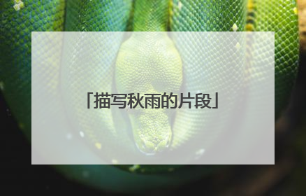 描写秋雨的片段
