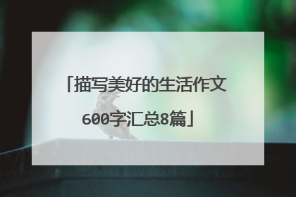 描写美好的生活作文600字汇总8篇