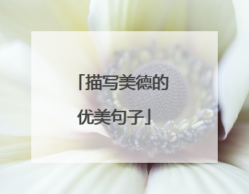 描写美德的优美句子