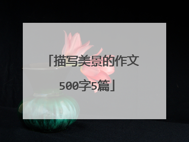 描写美景的作文500字5篇