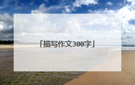 描写作文300字