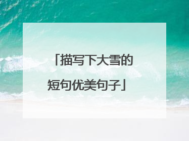 描写下大雪的短句优美句子