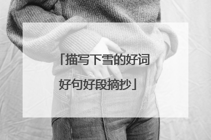描写下雪的好词好句好段摘抄