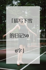 描写下雪的日记500字