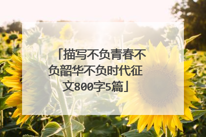 描写不负青春不负韶华不负时代征文800字5篇