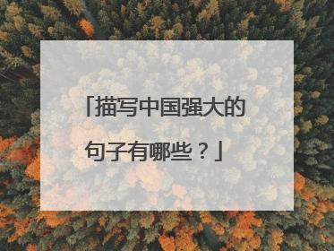 描写中国强大的句子有哪些?