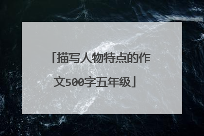 描写人物特点的作文500字五年级