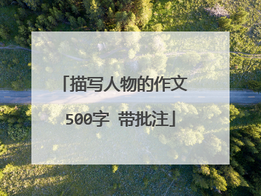 描写人物的作文 500字 带批注