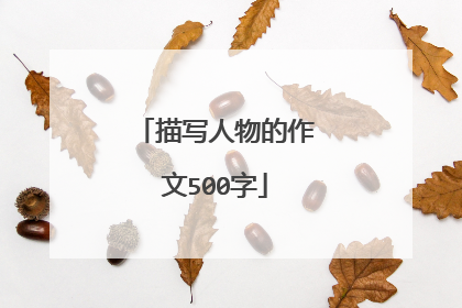 描写人物的作文500字