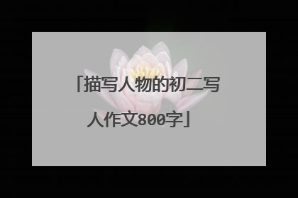 描写人物的初二写人作文800字