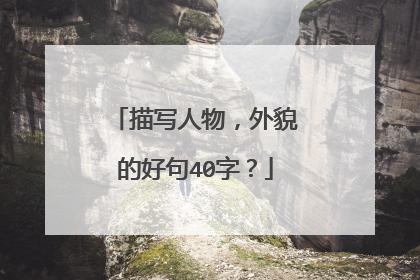 描写人物，外貌的好句40字？