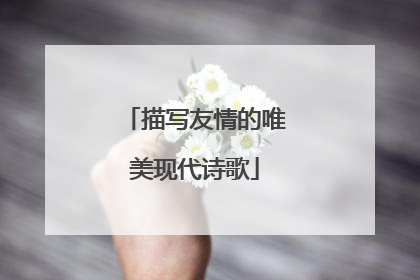 描写友情的唯美现代诗歌