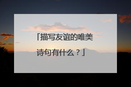 描写友谊的唯美诗句有什么？