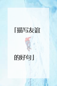 描写友谊的好句