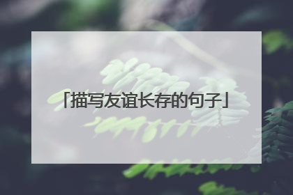 描写友谊长存的句子