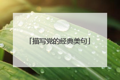 描写党的经典美句