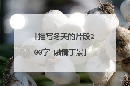 描写冬天的片段200字 融情于景
