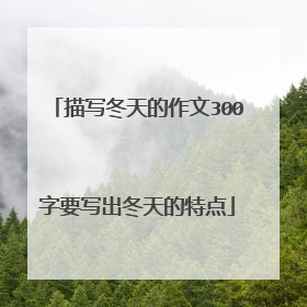 描写冬天的作文300字要写出冬天的特点