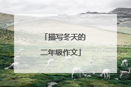 描写冬天的二年级作文