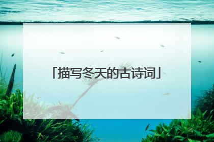描写冬天的古诗词