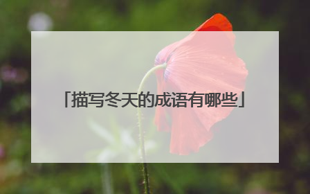 描写冬天的成语有哪些