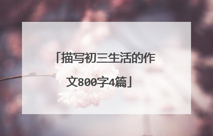 描写初三生活的作文800字4篇