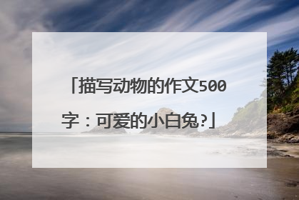 描写动物的作文500字：可爱的小白兔?