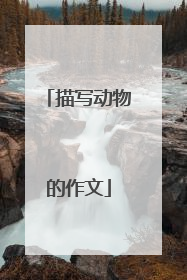 描写动物的作文