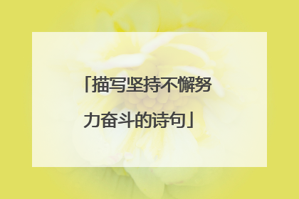 描写坚持不懈努力奋斗的诗句