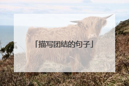 描写团结的句子
