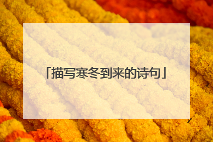描写寒冬到来的诗句