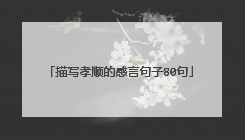 描写孝顺的感言句子80句