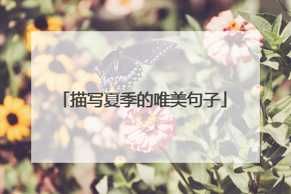 描写夏季的唯美句子