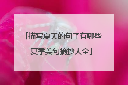 描写夏天的句子有哪些 夏季美句摘抄大全