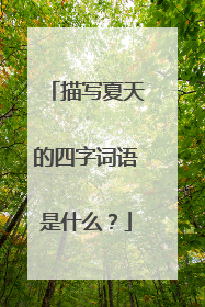 描写夏天的四字词语是什么？